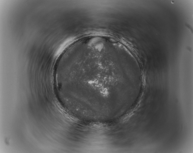 X0000102350199200808221701