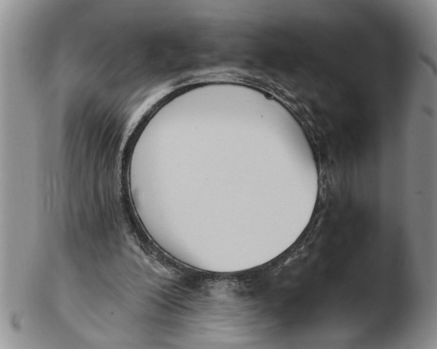 X0000102350200200808221701