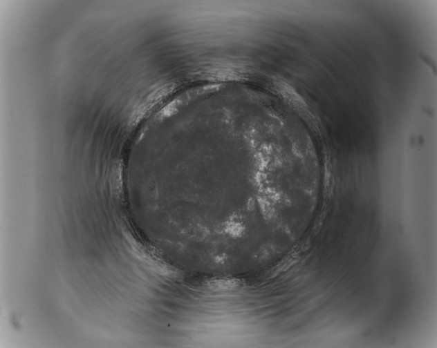 X0000102350202200808221701