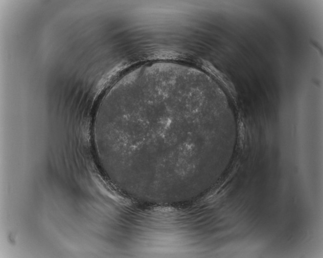 X0000102350203200808221701