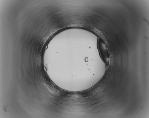 X0000102350204200808221701