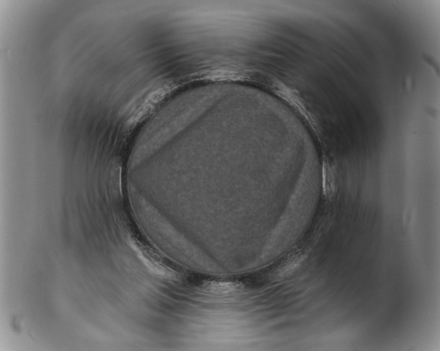 X0000102350205200808221701