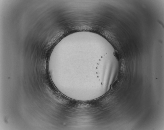 X0000102350206200808221701