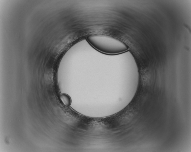 X0000102350207200808221701