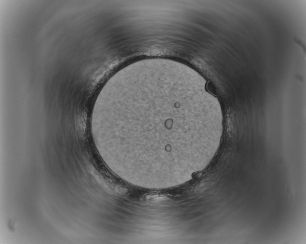 X0000102350208200808221701