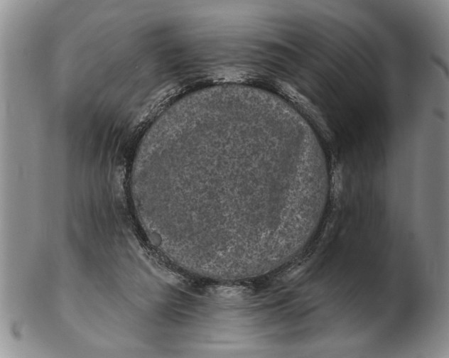 X0000102350209200808221701