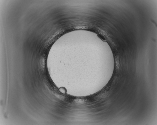 X0000102350211200808221701