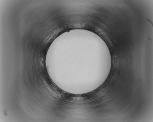 X0000102350212200808221701