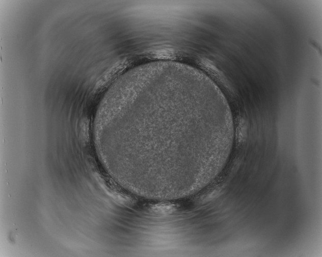 X0000102350213200808221701