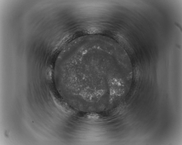 X0000102350214200808221701