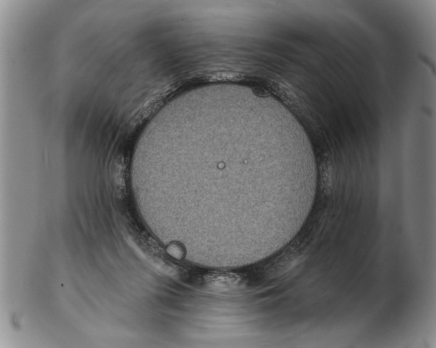 X0000102350215200808221701