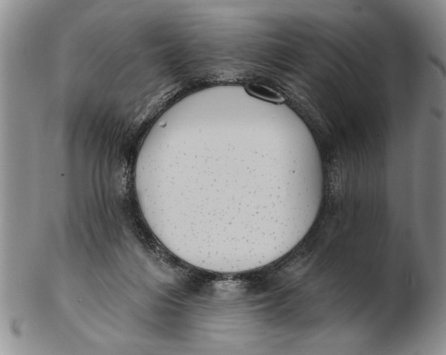 X0000102350216200808221701