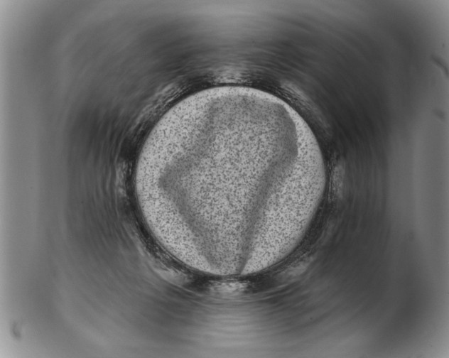 X0000102350217200808221701