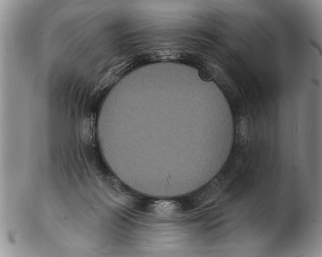 X0000102350218200808221701