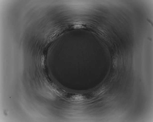 X0000102350219200808221701