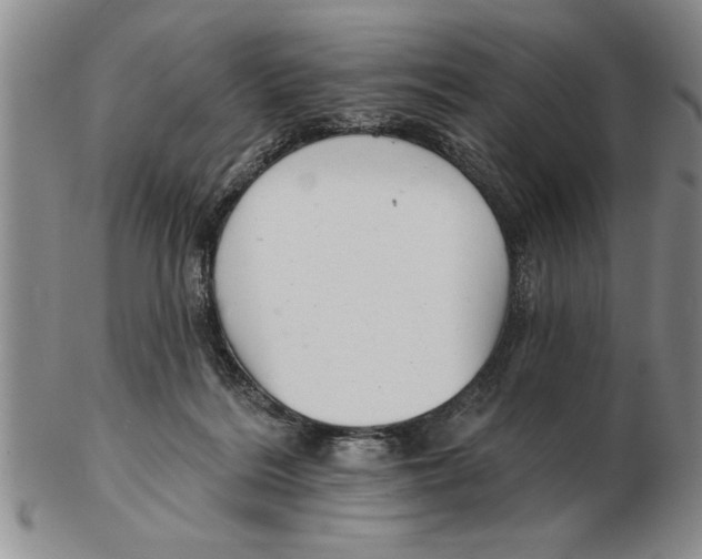 X0000102350220200808221701