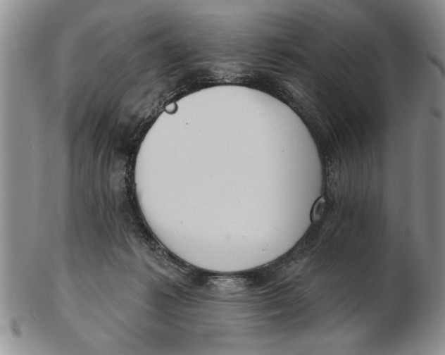 X0000102350221200808221701