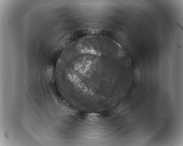 X0000102350222200808221701