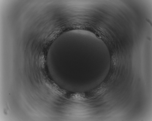 X0000102350223200808221701
