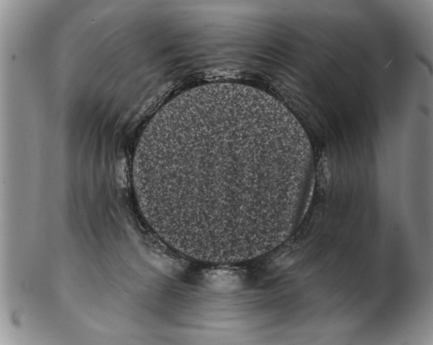 X0000102350224200808221701