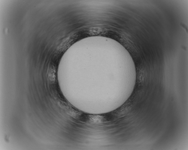 X0000102350226200808221701