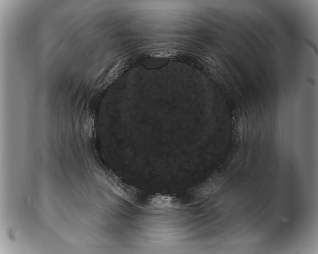 X0000102350227200808221701