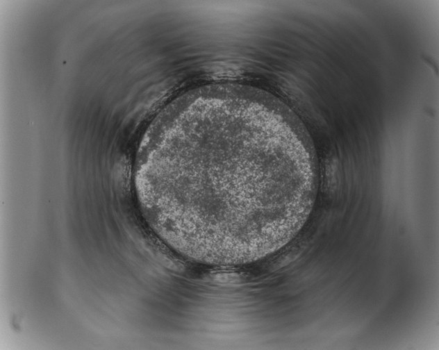 X0000102350228200808221701