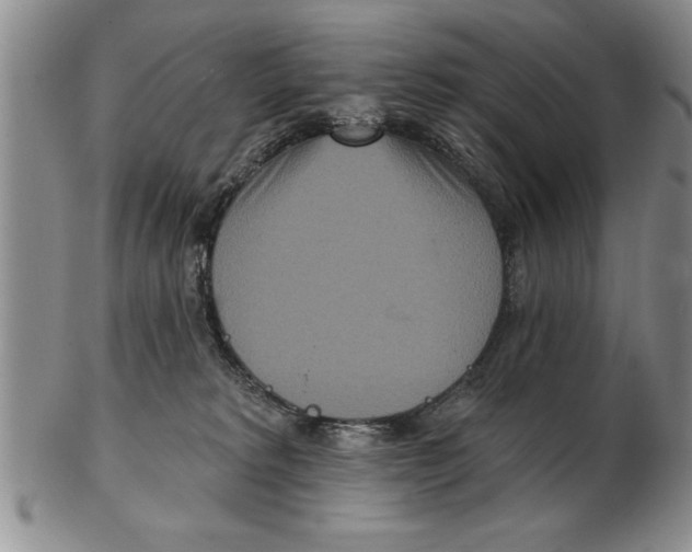 X0000102350229200808221701