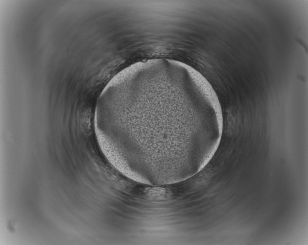 X0000102350230200808221701