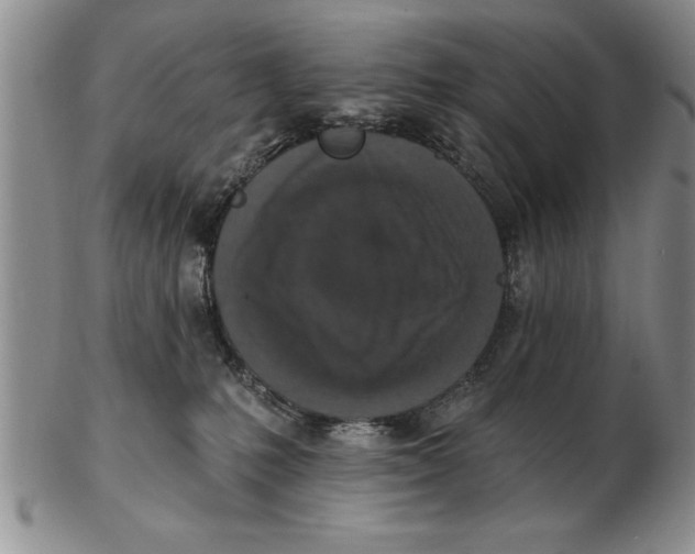 X0000102350231200808221701