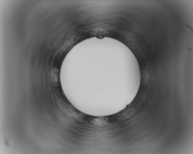 X0000102350232200808221701
