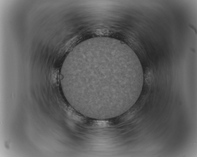 X0000102350233200808221701