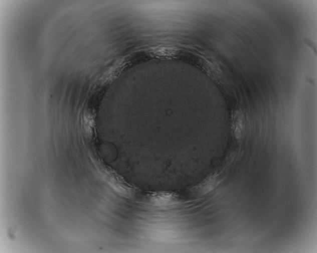 X0000102350235200808221700