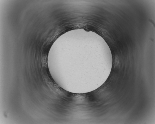 X0000102350236200808221700