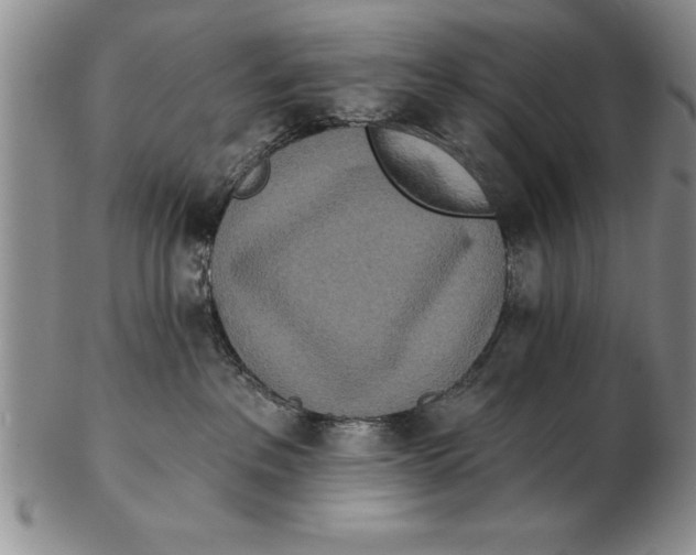 X0000102350237200808221700