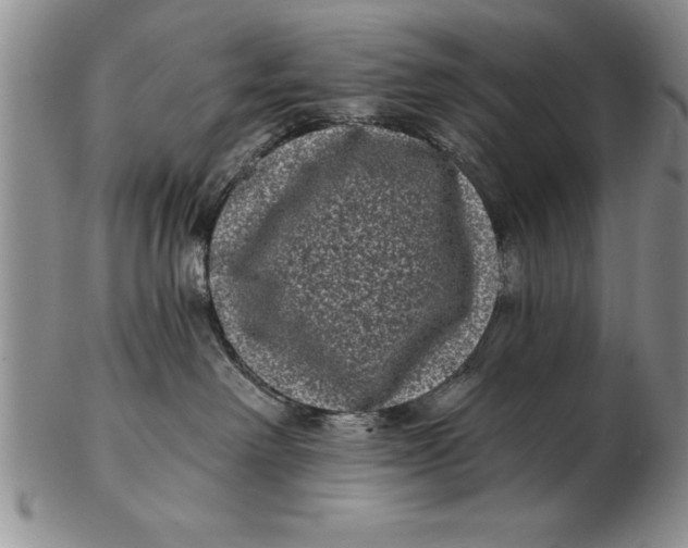 X0000102350238200808221700