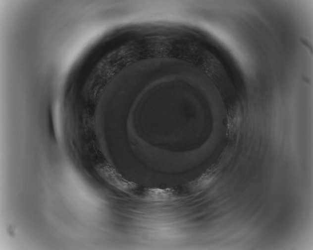 X0000102350239200808221700