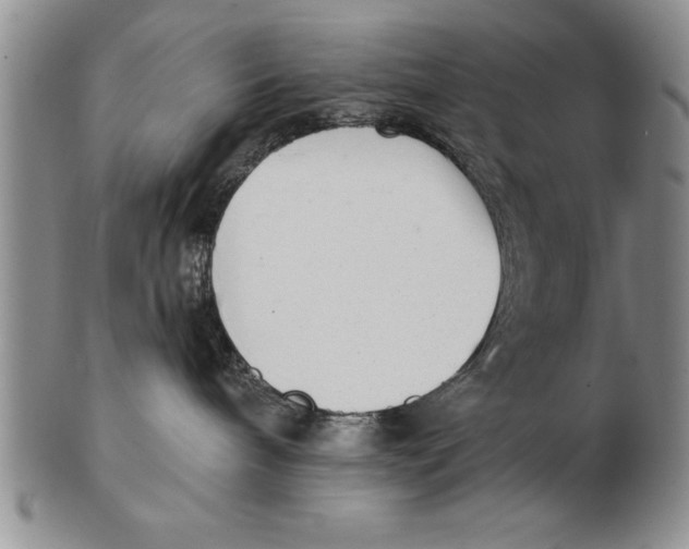 X0000102350240200808221700