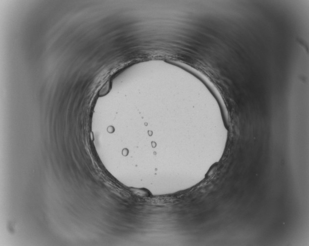 X0000102350241200808221700