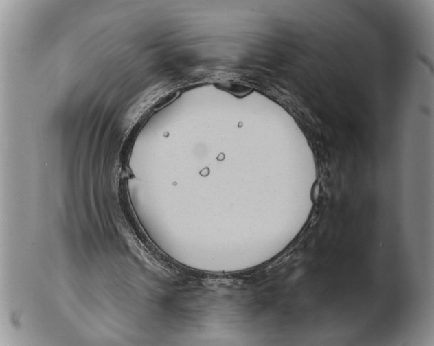 X0000102350242200808221700