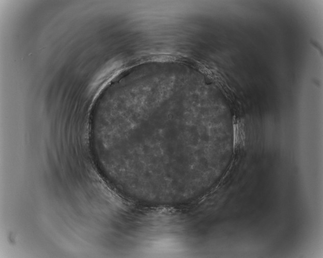 X0000102350243200808221700