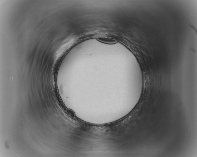 X0000102350245200808221700
