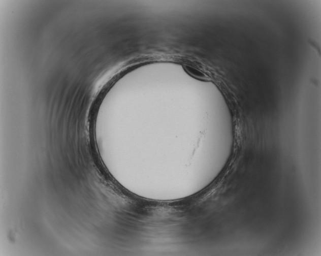 X0000102350246200808221700