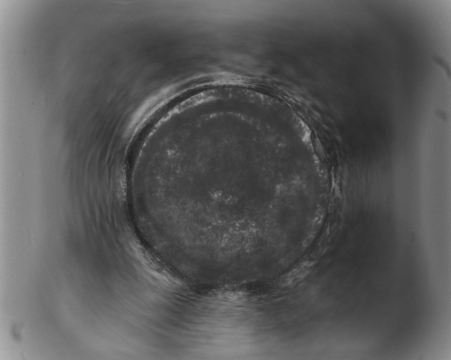 X0000102350247200808221700