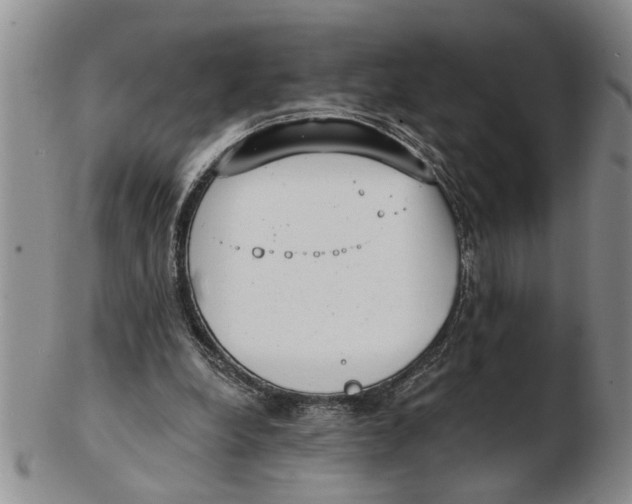 X0000102350248200808221700