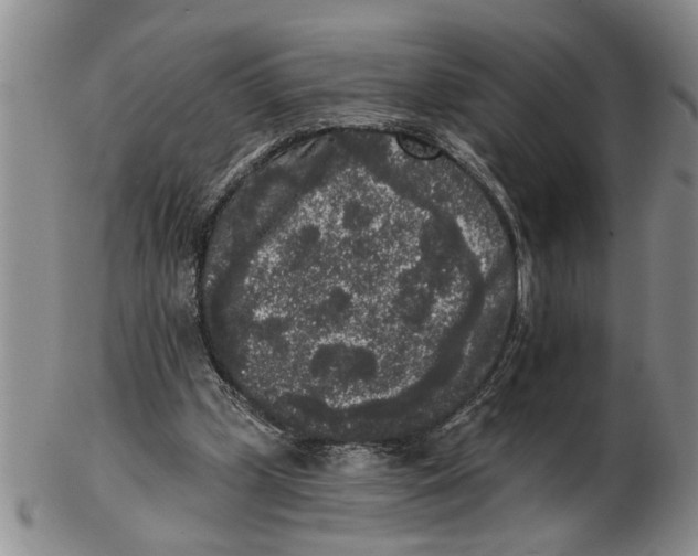 X0000102350249200808221700