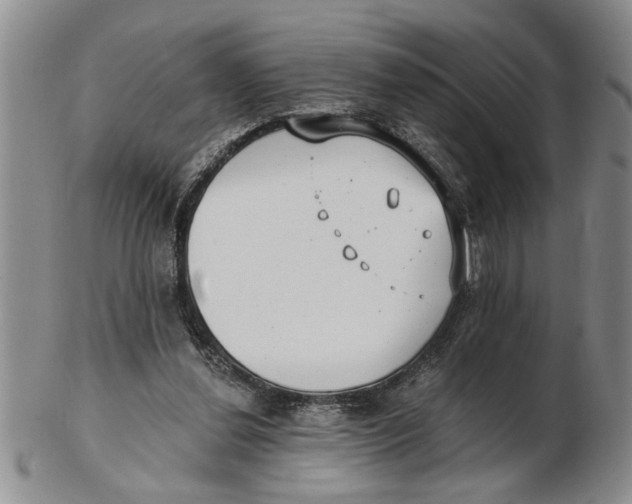 X0000102350252200808221700