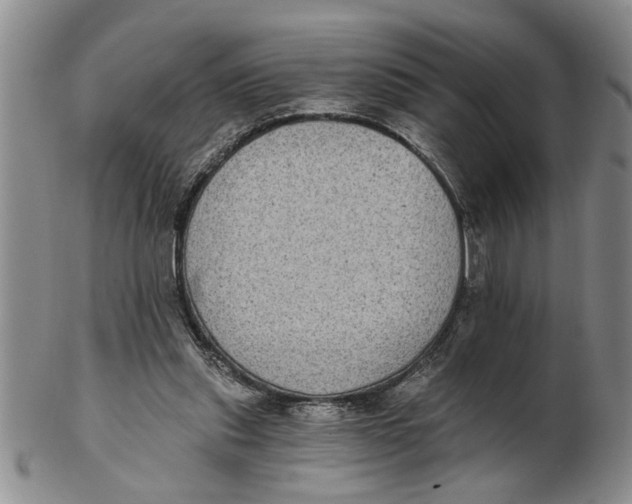 X0000102350253200808221700