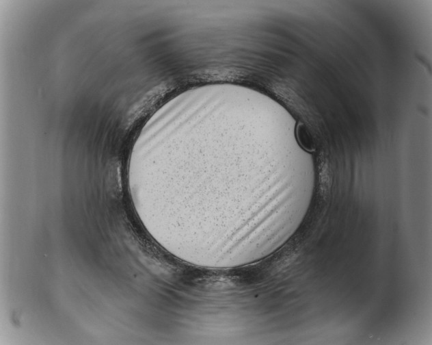 X0000102350254200808221700