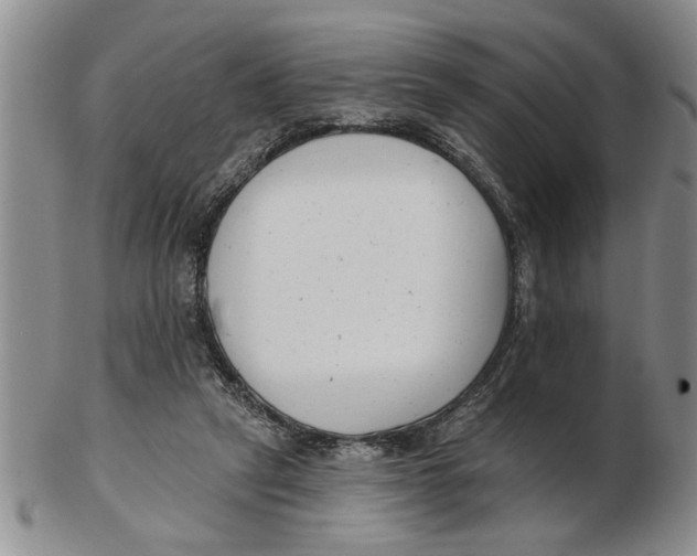 X0000102350257200808221700
